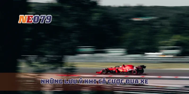 Những lưu ý khi cá cược đua xe