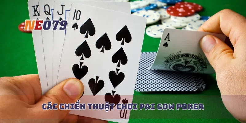 Các chiến thuật chơi Pai Gow Poker